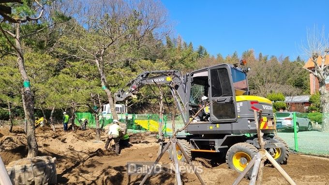 학교에서 제거 될 수목을 가식장으로 옮겨 심는 장면. (사진=대구시교육청 제공)