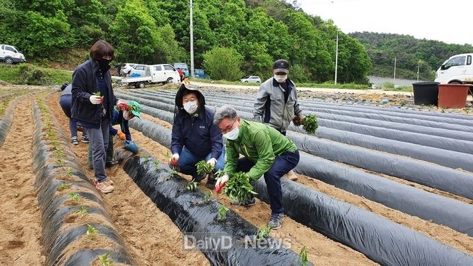 봉성면 일손돕기