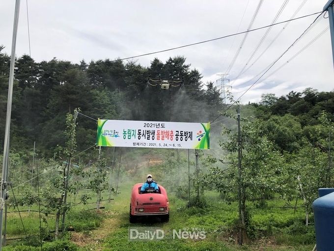 울진군, 농림지 돌발해충 공동방제 선제 대응 나서