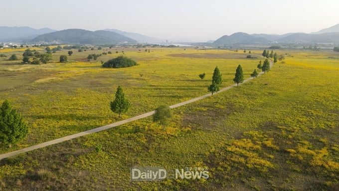 구미의 걷기좋은길 (낙동강변길)