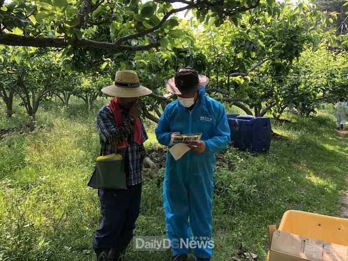 울진군, ‘과수화상병’ 유입방지 총력 대응(과수화상병 예찰)