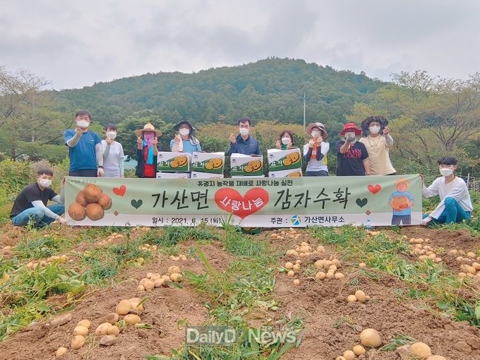 칠곡군 가산면, 사랑의 감자 수확