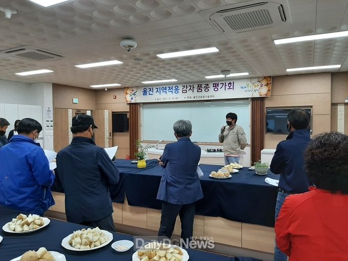 울진군, 지역 적응 감자 품종 평가회 개최