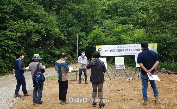 울진국유림관리소, 소광리 금강소나무 군락지에서 전문가 초청 현장토론회 개최