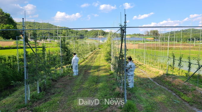 상주시, 과수화상병 유입 방지 총력 대응