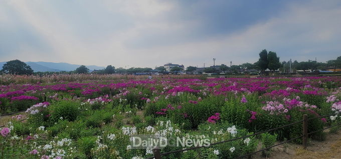 경주 동부사적지 첨성대 일원에 문화유적과 꽃들 어우러져