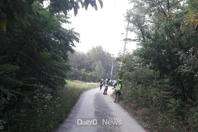 산책과 등산 즐기는 시민들에게 깨끗한 산책길 제공 위한 정화활동 실시