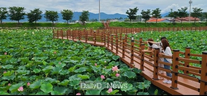 성주군 초전면, 뒷미지 수변공원