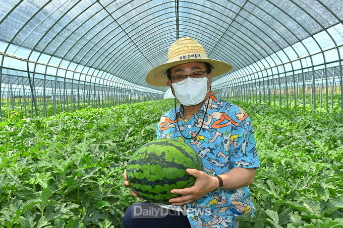 청량산 재산수박 출하 한창!