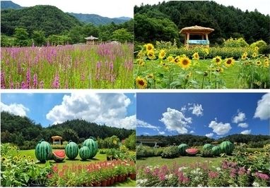 국립백두대간수목원 여름 봉자페스티벌 축제장 전경