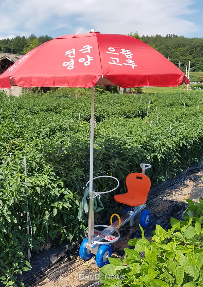 고추수확 편의장비 확대 보급