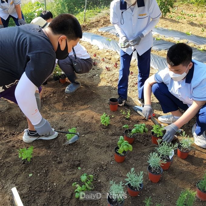 경북교육청, ‘학교텃밭 활동’프로그램 14교 선정