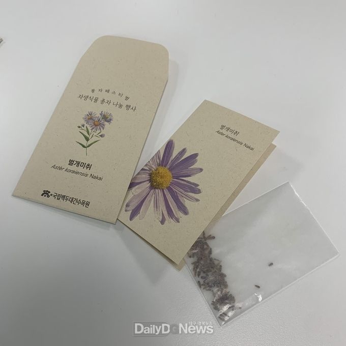 벌개미취 종자 나눔 패키지 사진