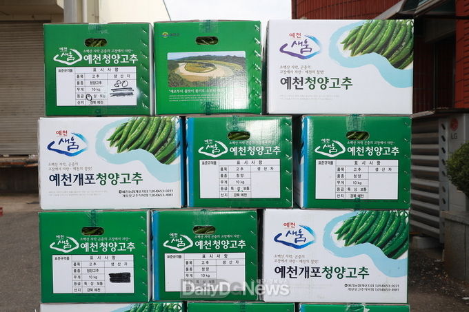 예천군, ‘개포 풋고추’일본 수출 길 열어