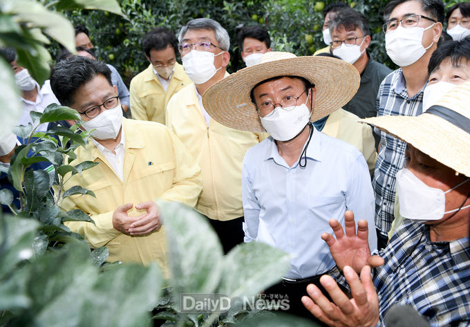 이철우 도지사가 8월 5일 오전 김현수 농림축산식품부 장관과 함께 예천군 사과 농가를 방문하여 추석 대비 성수품 수급 및 여름철 폭염 피해 대비 상황을 선제적으로 점검하고 있다.
