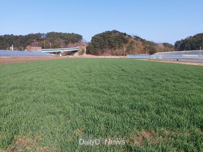 농업기술실용화재단산 맥류 종자 신청받아