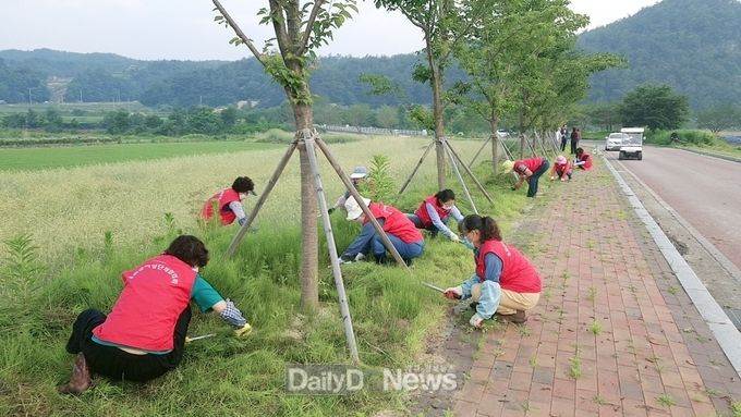 봉화군여성단체협의회, 환경정화 봉사활동에 나서