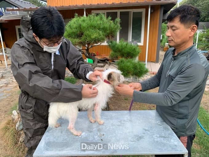 영양군, 광견병 무료접종 실시