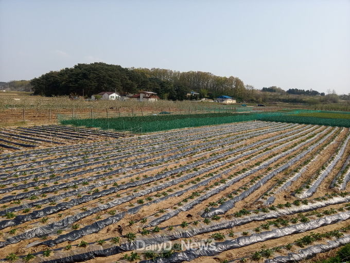 문경시, 2021년 농지이용실태조사 실시