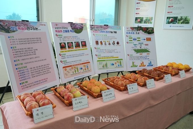 복숭아 신품종