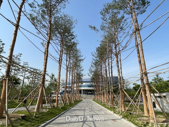 포항시, 2천만그루 나무 심기 운동으로 숲속도시 실현에 한 발짝 다가서다