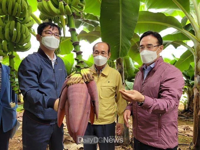 허태웅 농촌진흥청장, 경북 찾아 농업현장의 목소리 청취