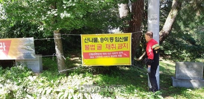 9월 16일부터 10월 31일까지, 특별단속 실시