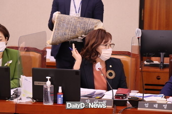 양금희 국민의힘 대구 북구갑 국회의원. (사진=양금희 의원실 제공)
