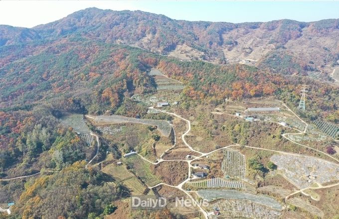 예천군, 2022년 과실전문생산단지 기반조성사업 공모 선정