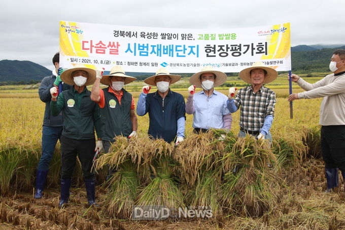 경북농업기술원, 8일 포항 청하면 재배단지에서 다솜쌀 수확 및 시식행사 개최