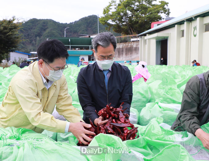 2021년 청기면 건고추 수매