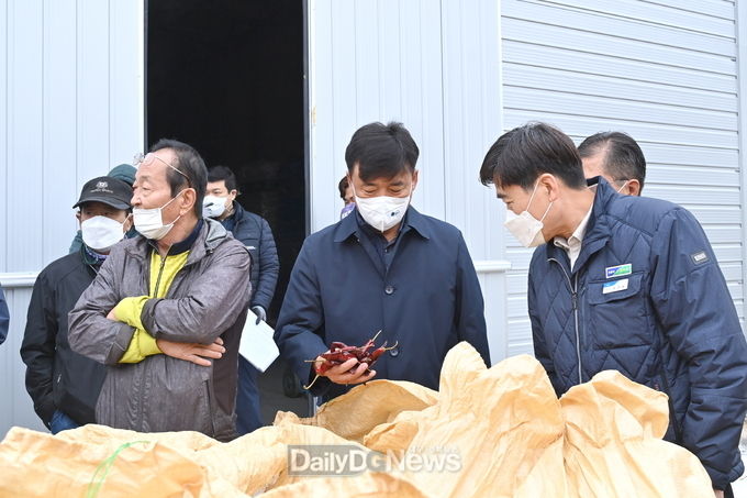 고추수매현장