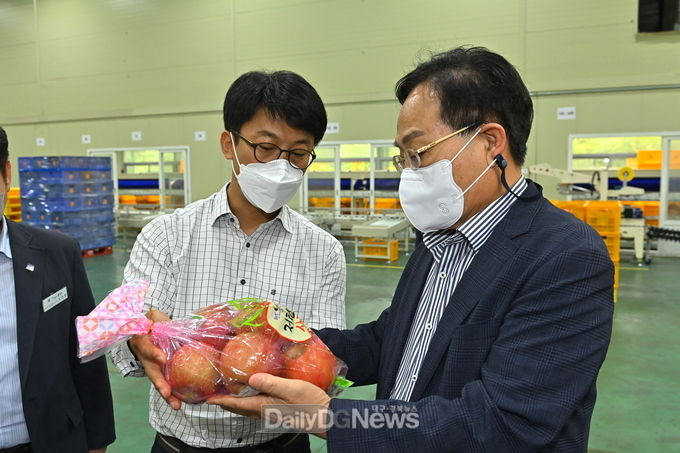 농산물종합산지유통센터 선별과정을 거쳐 포장된 봉화사과를 보고 있는 엄태항 봉화군수