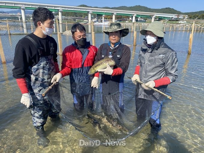 경상북도 민물고기연구센터(소장 박무억)가 10월 26일 자기가 태어난 고향으로 3년 만에 돌아온 슈퍼푸드 연어 8마리(암컷 4, 수컷 4)를 울진 왕피천에서 포획하고 있다.