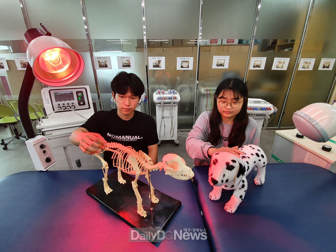 대구보건대학교는 2022학년도부터 반려동물보건관리과를 신설하고 신입생을 모집한다. (사진=대구보건대학교 제공)