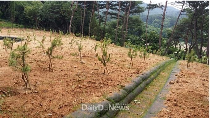 (영양군 흙탕물저감사업 확정