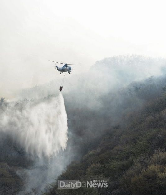산불종합대책추진
