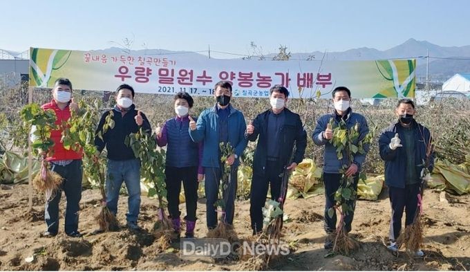 칠곡군, 양봉농가 밀원수 무상 분양