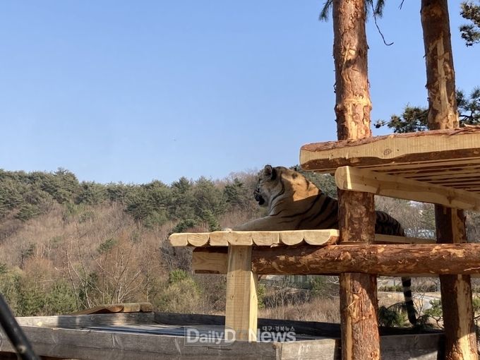 <사진=국립백두대간수목원 제공>
