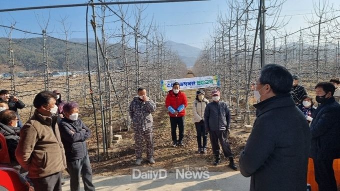 고품질 사과 재배를 위한 겨울철 사과 수형관리 기술교육 실시