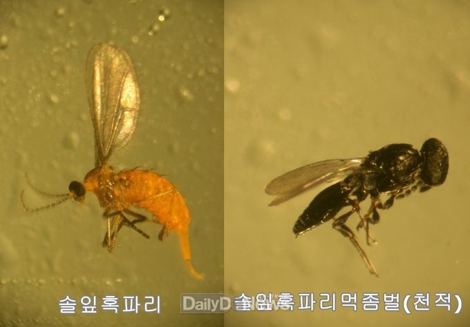 경상북도 제공