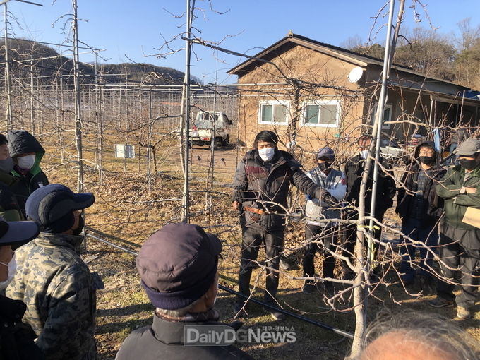 궤양 제거 현장교육