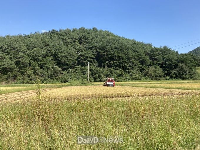 울진군, 벼 정부 보급종 공급가격 차액 보상금 지원