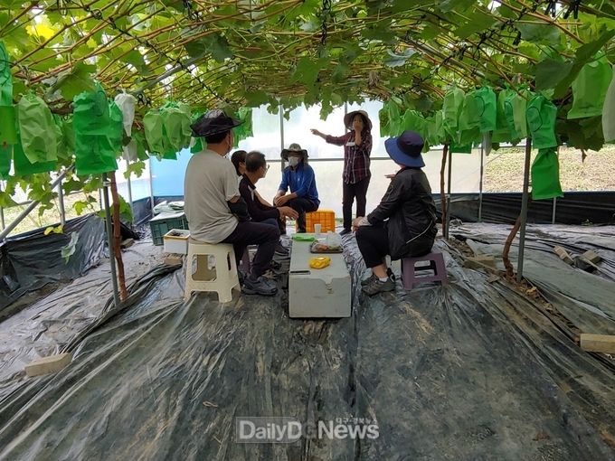  농촌에서 살아보기