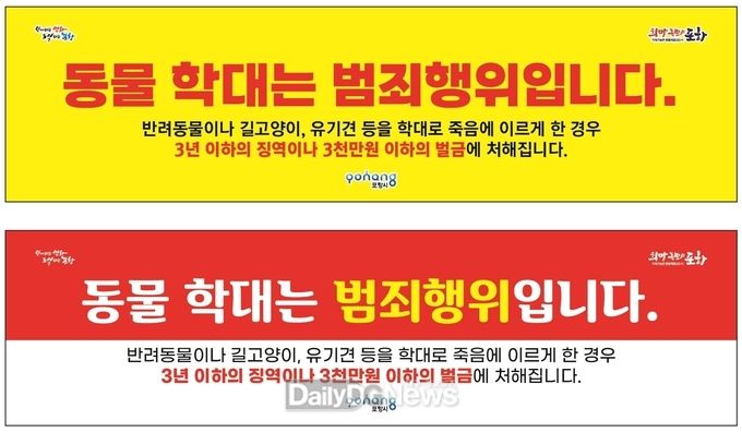 동물생명이 보호받는 포항, 동물학대 예방을 위해 총력 대응 나선다