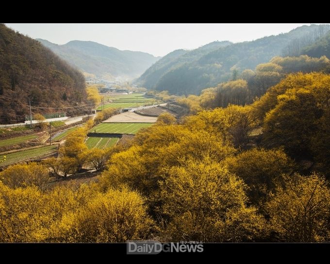 사진은 의성군 제공