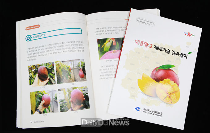 경북도, 열대 과일의 여왕‘애플망고’재배 길라잡이 발간