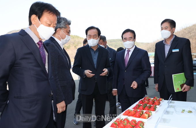 의성군, 의성청년딸기 첫 홍콩 수출 선적식