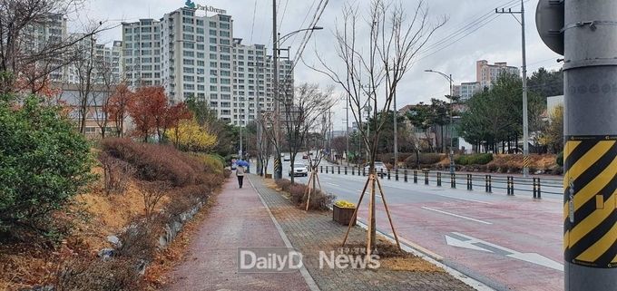 경산시, 가로수 식재 통해 쾌적한 가로환경 조성