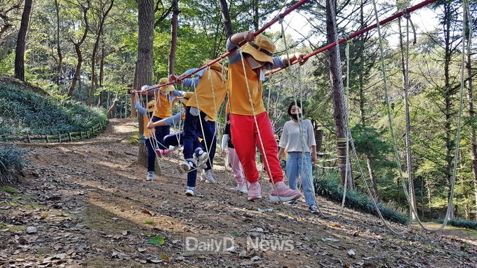  유아숲체험원 활동 사진